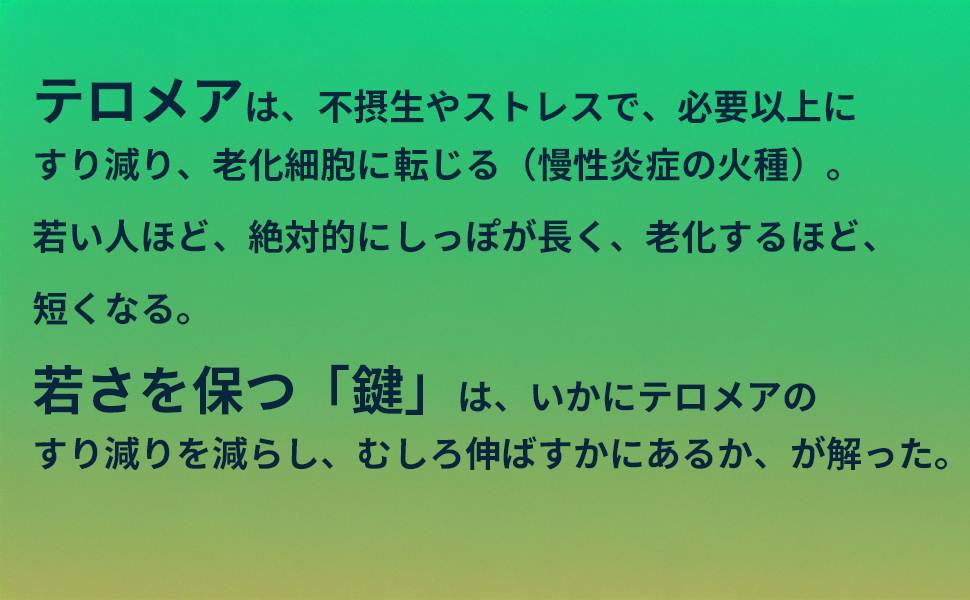 �e�����A�̐���